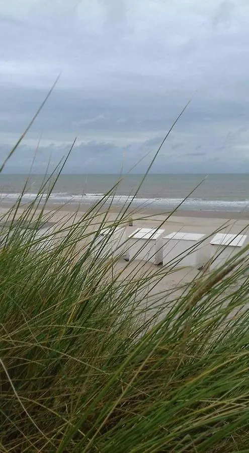 Luxueuze Stacaravan In Bredene Met Eigen Terras En Tuintje